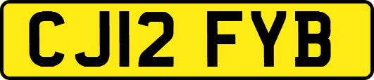 CJ12FYB