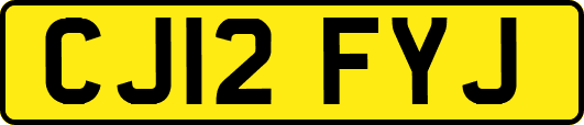 CJ12FYJ