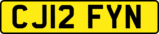 CJ12FYN
