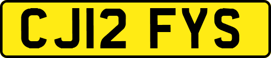 CJ12FYS
