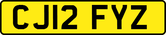 CJ12FYZ