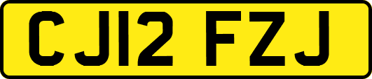 CJ12FZJ