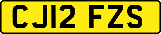 CJ12FZS