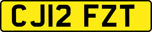 CJ12FZT