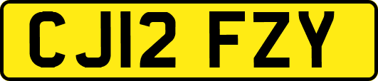 CJ12FZY