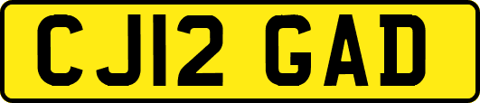 CJ12GAD