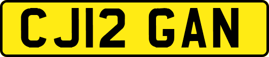 CJ12GAN