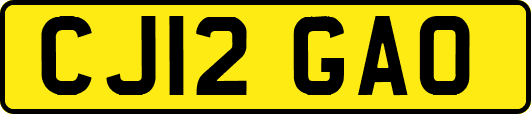 CJ12GAO