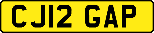 CJ12GAP