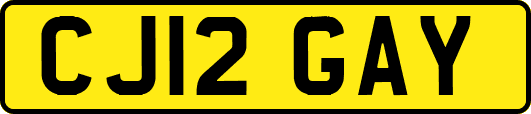 CJ12GAY