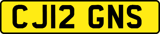CJ12GNS
