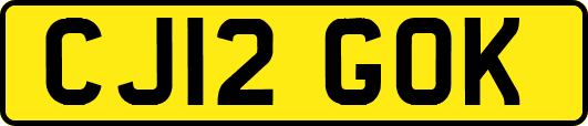 CJ12GOK