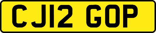 CJ12GOP