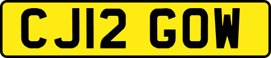 CJ12GOW