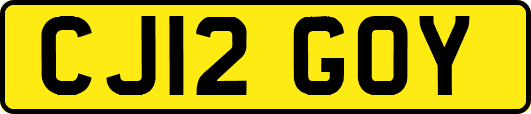 CJ12GOY