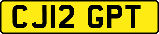 CJ12GPT