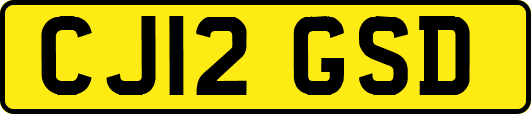 CJ12GSD