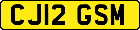 CJ12GSM