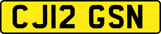 CJ12GSN