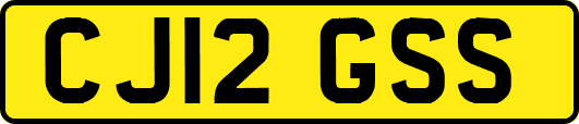 CJ12GSS