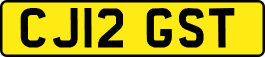 CJ12GST