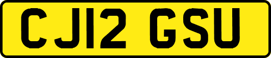 CJ12GSU