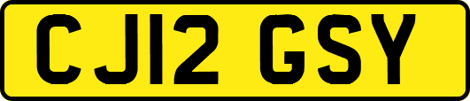CJ12GSY