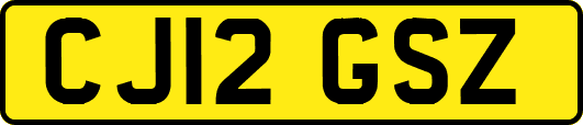CJ12GSZ