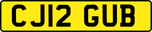 CJ12GUB