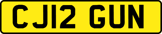 CJ12GUN