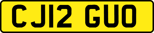 CJ12GUO