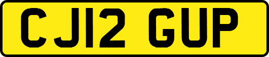 CJ12GUP