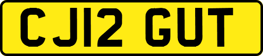 CJ12GUT