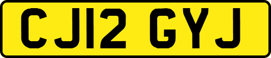 CJ12GYJ
