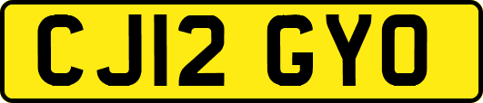 CJ12GYO