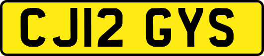 CJ12GYS