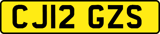 CJ12GZS