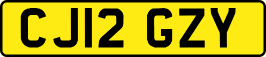 CJ12GZY