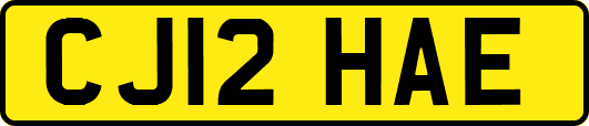CJ12HAE