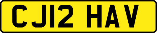 CJ12HAV