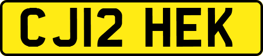 CJ12HEK