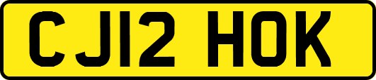 CJ12HOK