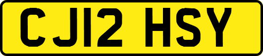 CJ12HSY