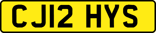CJ12HYS