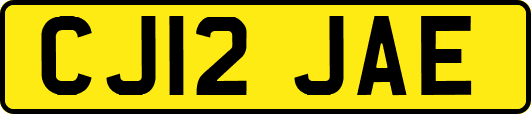 CJ12JAE