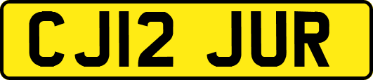 CJ12JUR