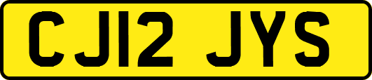 CJ12JYS