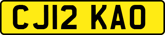 CJ12KAO