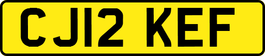 CJ12KEF