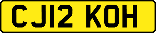 CJ12KOH